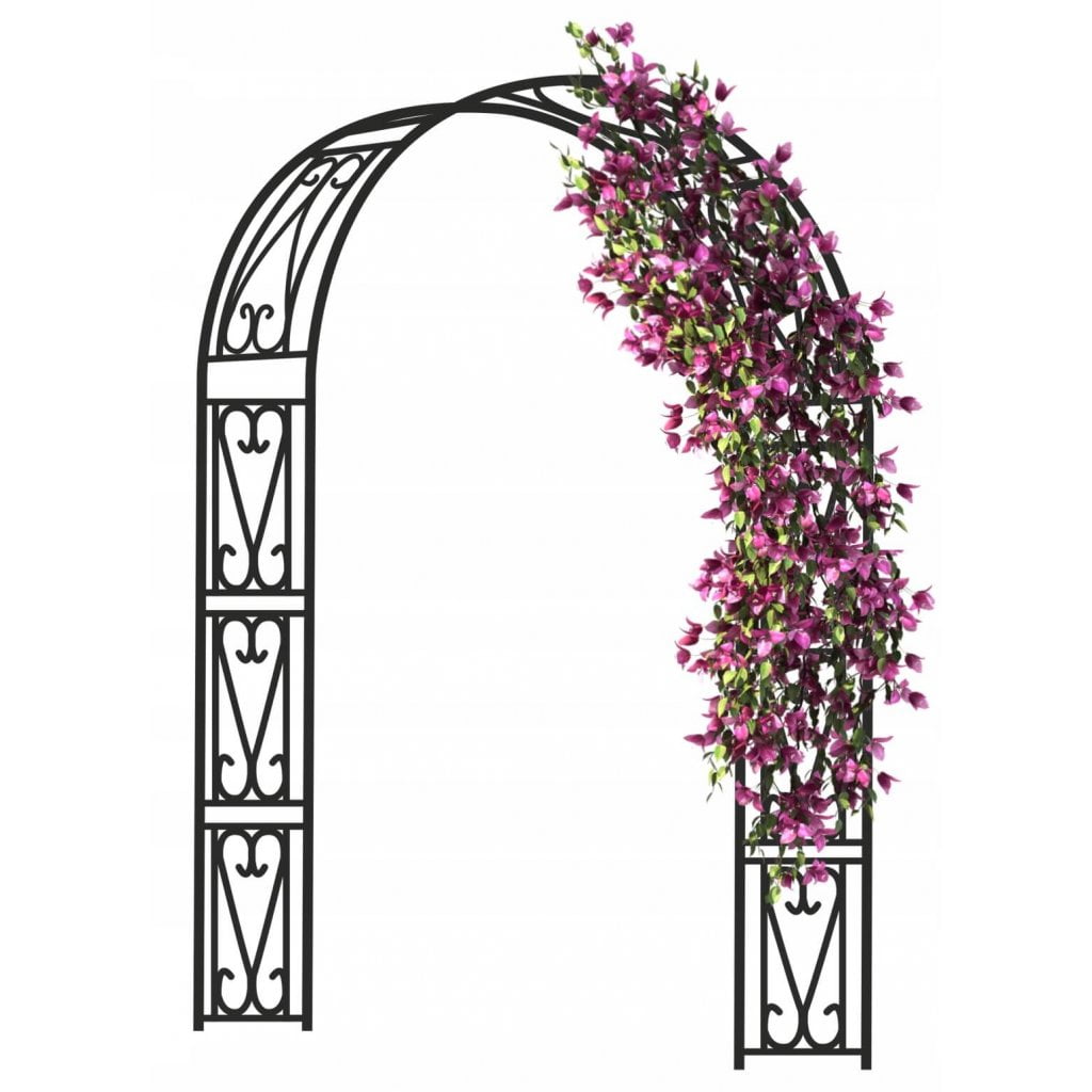 arcada flori si plante