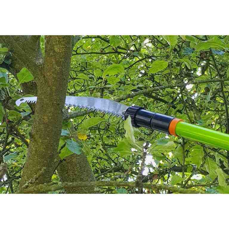 Fierăstrău pentru crengi si culegător de fructe cu tijă telescopică 370 cm - MAXY