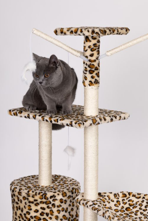 Ansamblu de Joacă pentru Pisici cu 5 Nivele, Model Leopard 138 cm