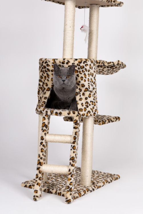 Ansamblu de Joacă pentru Pisici cu 5 Nivele, Model Leopard 138 cm