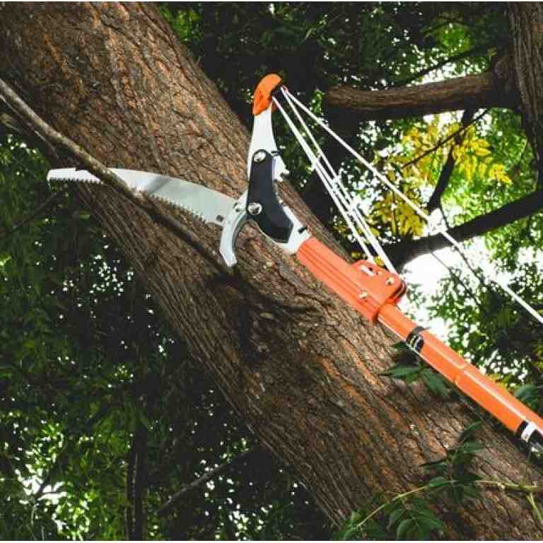 Fierăstrău și Foarfecă pentru Crengi cu Mâner Telescopic 1.37 – 2.5 m - MAXY