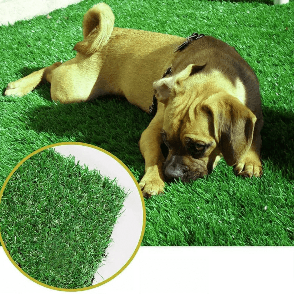 gazon artificial loc ideal pentru animale companie