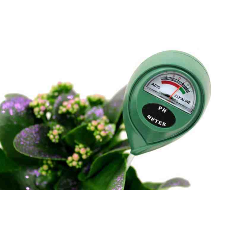 tester ph sol