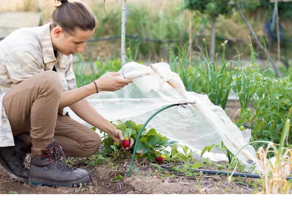 Mini sera de gradina, solar legume 1,8 x 6m