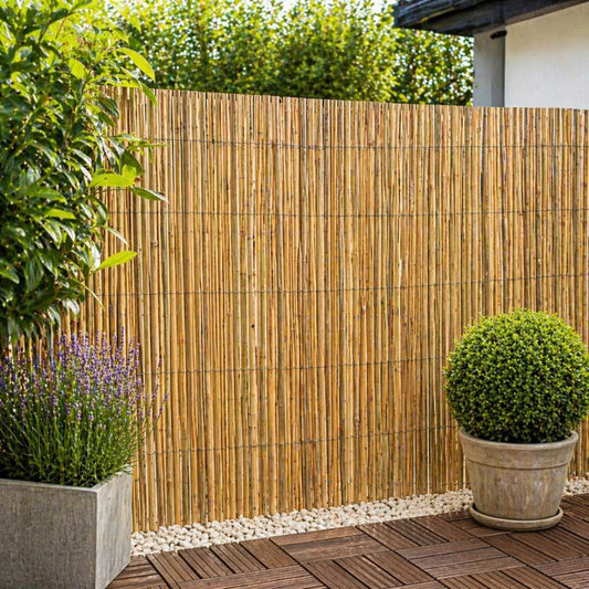 Paravan Din Bambus, Dimensiune 150 cm x 500 cm x 12 mm - MAXY