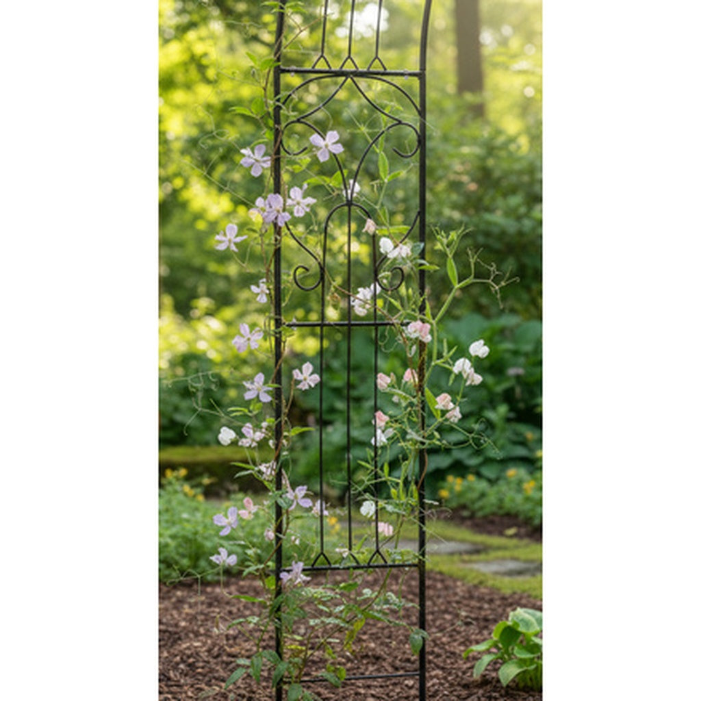 Pergola De Gradina, arcada eleganta flori, Dimensiune 145 x 38 x 240 cm , Culoare Negru - MAXY