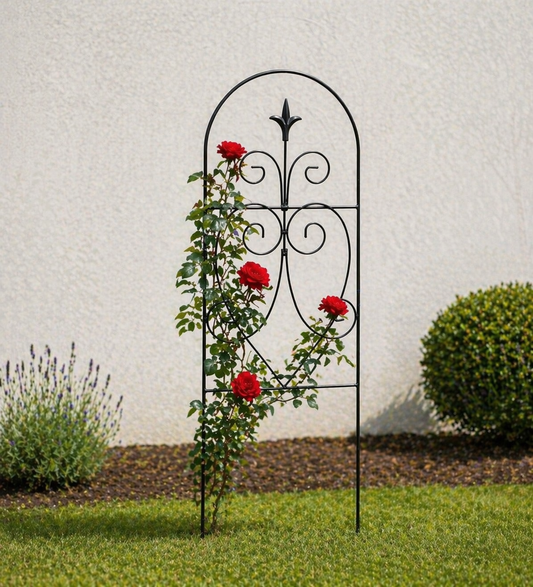 pergola cu decor pentru gradina