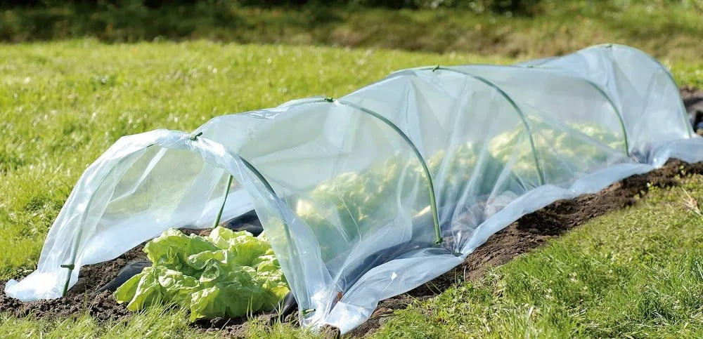 Mini sera de gradina, solar legume 1,8 x 6m