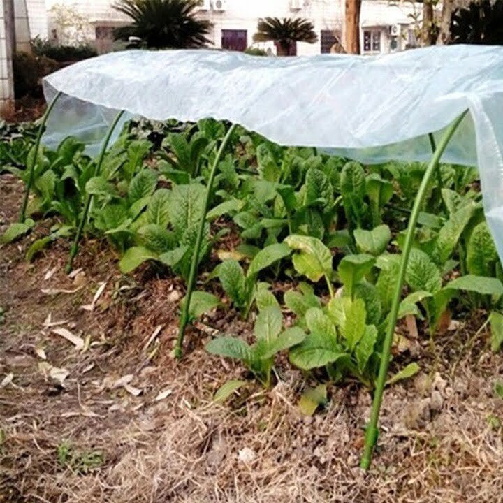 Mini sera de gradina solar legume 1,8 x 10m